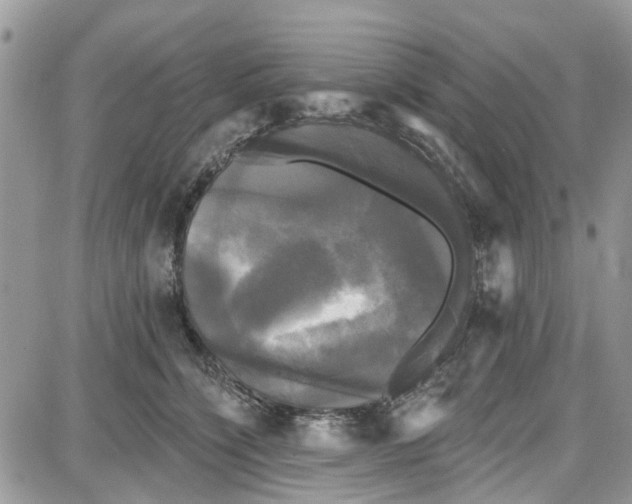 X0000087630564200705311331