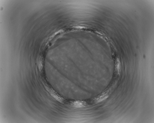 X0000087630566200705311331