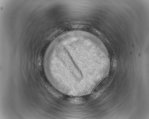 X0000087630567200705311331