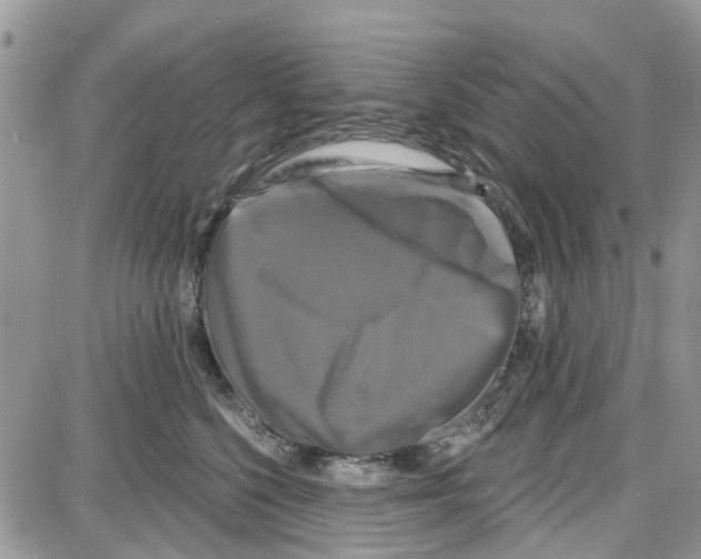 X0000087630568200705311331