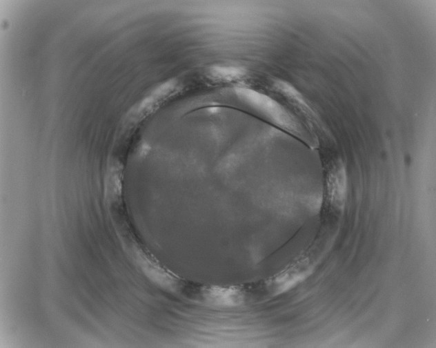 X0000087630570200705311331