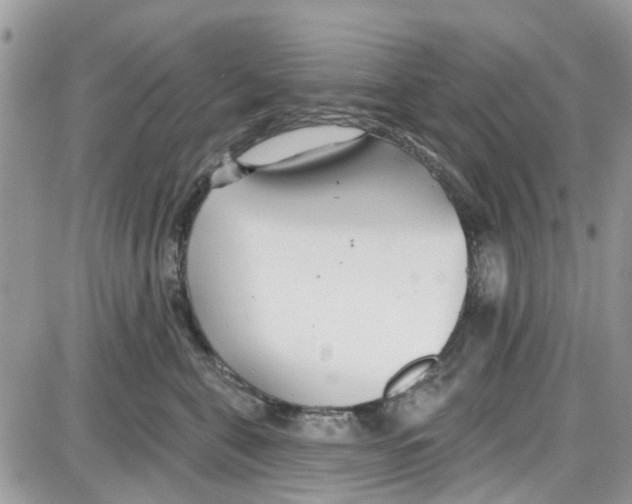 X0000087630571200705311331