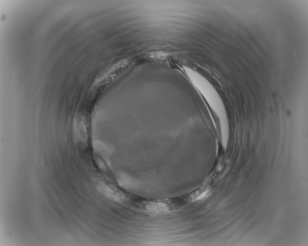 X0000087630572200705311331