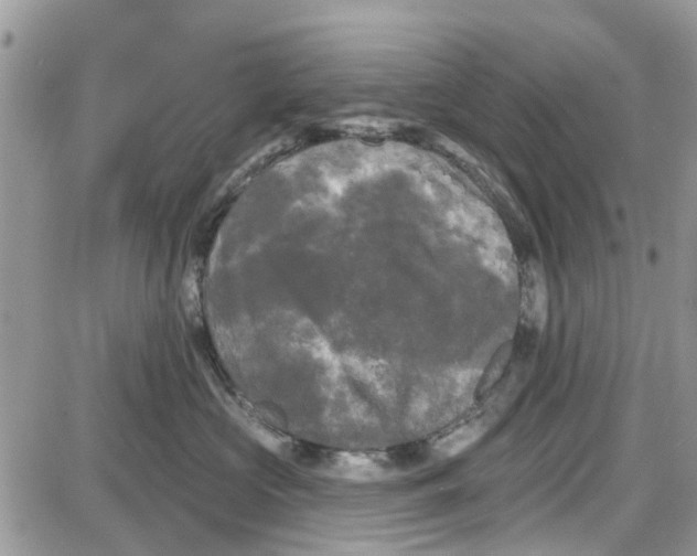 X0000087630573200705311331