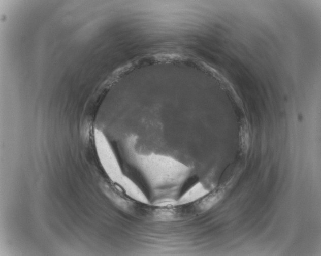 X0000087630574200705311331