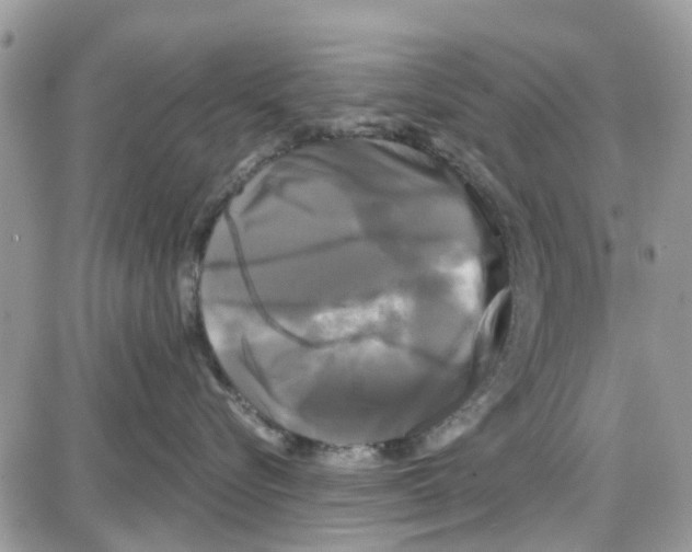 X0000087630576200705311332