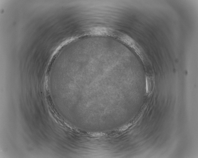 X0000087630579200705311331