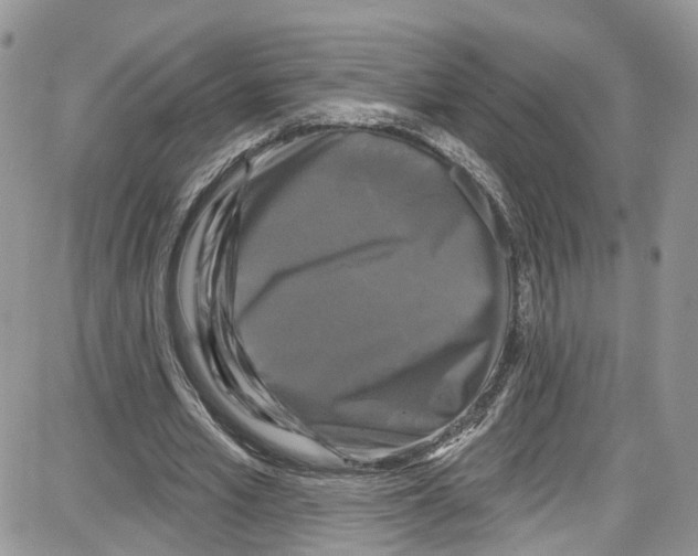 X0000087630581200705311331