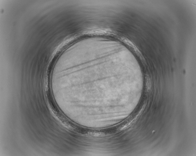 X0000087630582200705311331