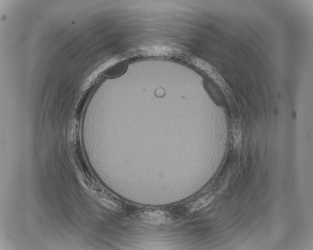 X0000087630583200705311331