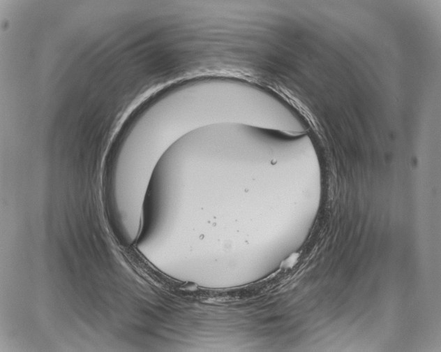 X0000087630584200705311331