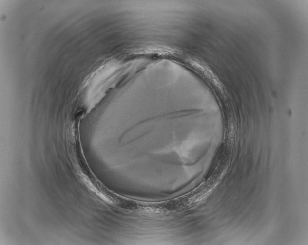 X0000087630585200705311331