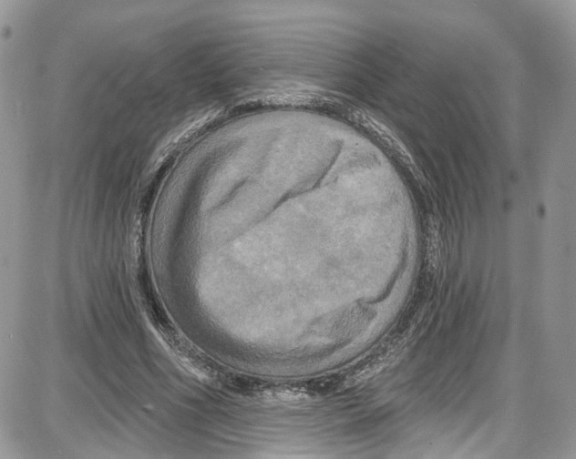 X0000087630586200705311331