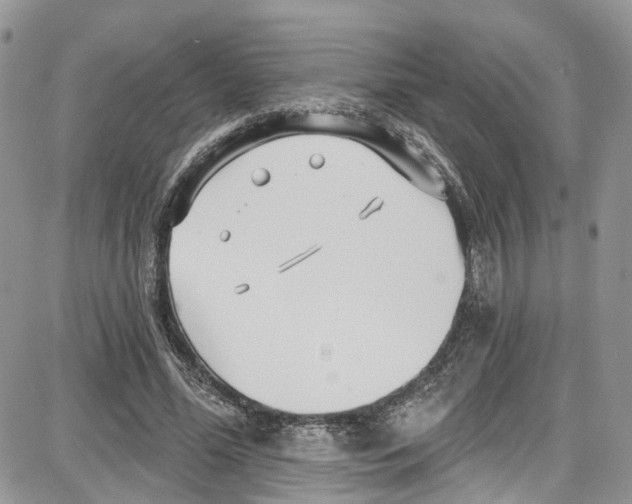 X0000087630588200705311331