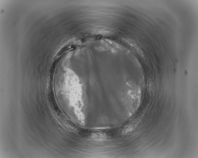 X0000087630591200705311331