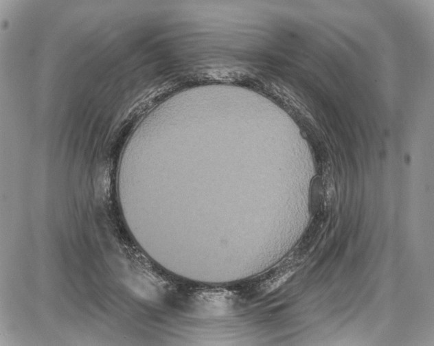 X0000087630595200705311330