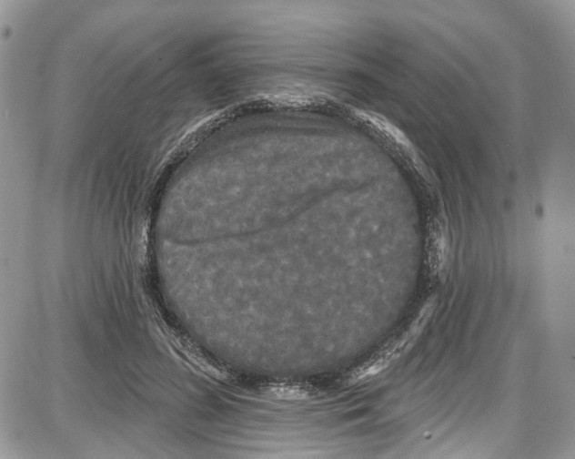 X0000087630596200705311330