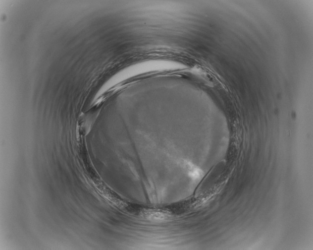 X0000087630597200705311330