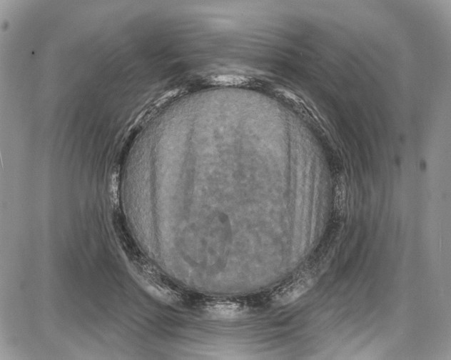 X0000087630598200705311330