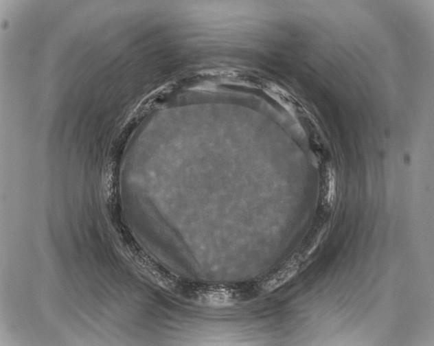 X0000087630600200705311330