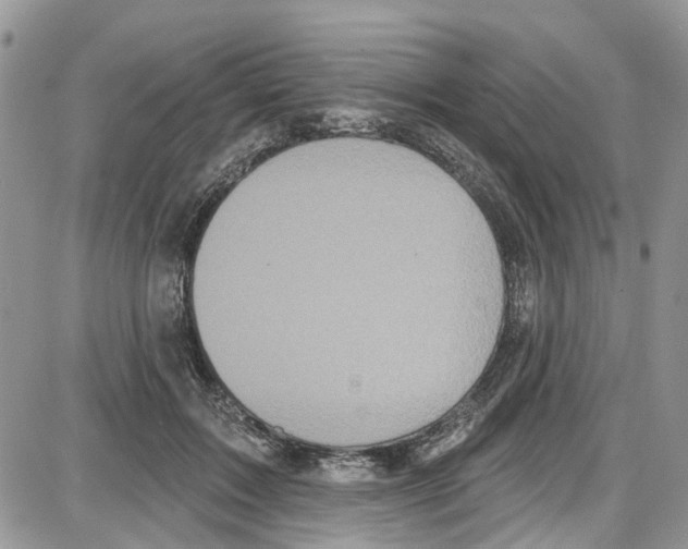 X0000087630603200705311330