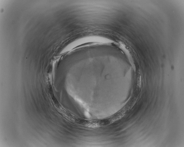 X0000087630604200705311330