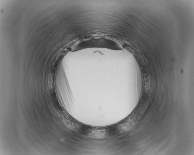 X0000087630606200705311330