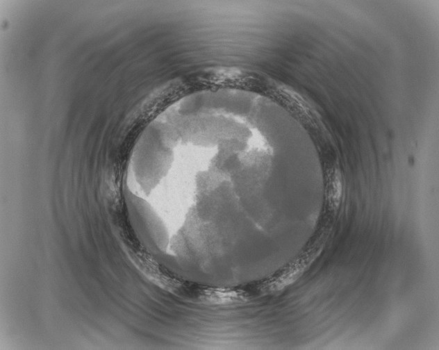 X0000087630607200705311330