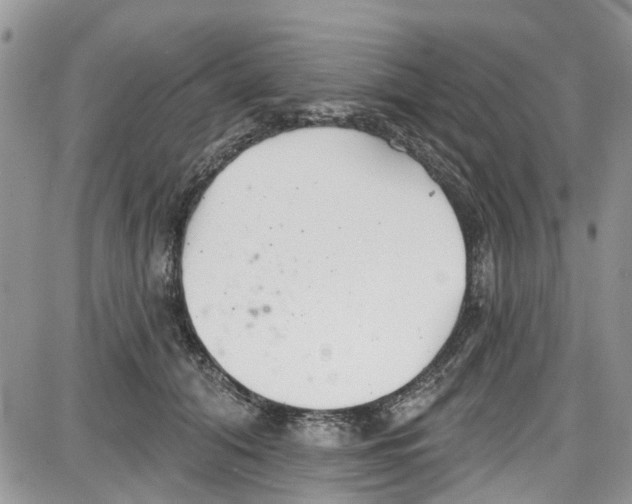 X0000087630608200705311330