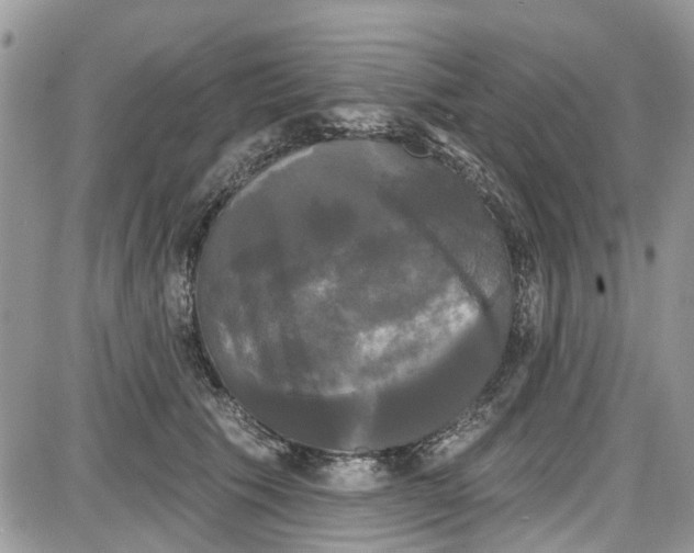 X0000087630609200705311330