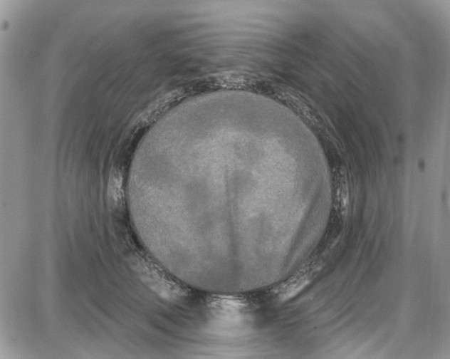 X0000087630610200705311330