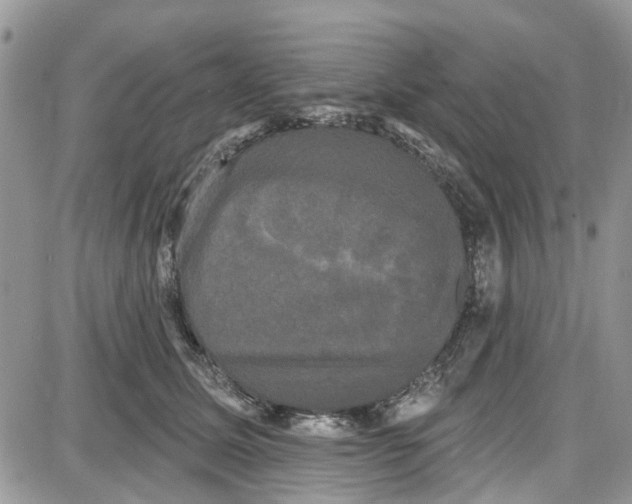 X0000087630611200705311330