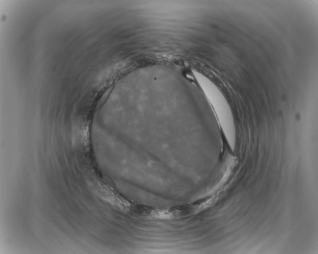 X0000087630613200705311330