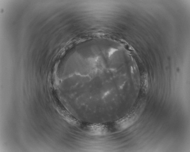 X0000087630615200705311330