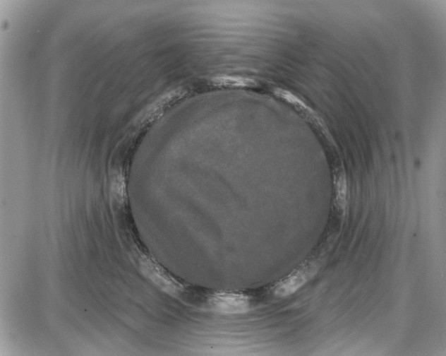 X0000087630617200705311330