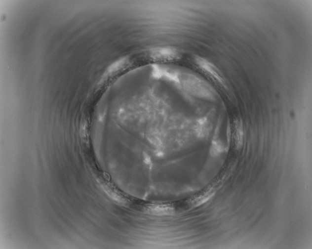 X0000087630619200705311330