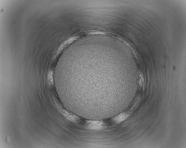 X0000087630621200705311330