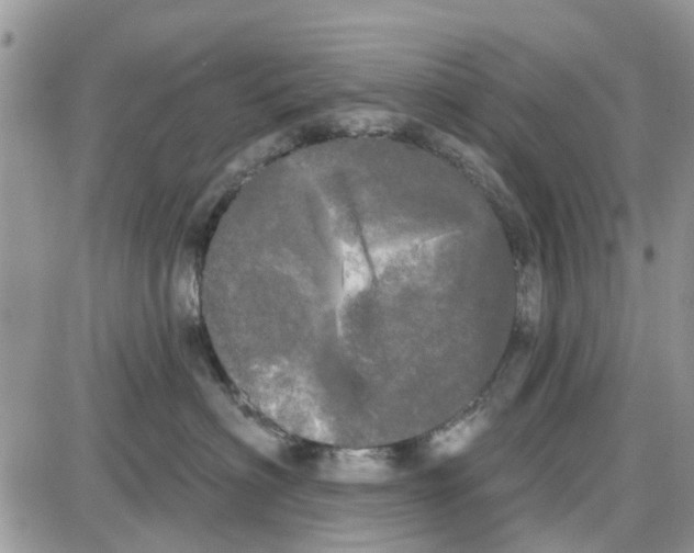 X0000087630622200705311330