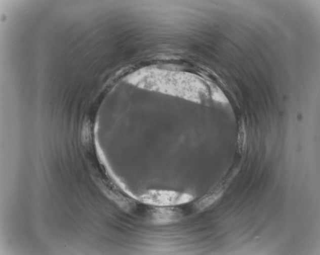 X0000087630623200705311330