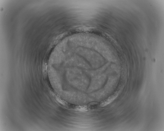 X0000087630624200705311330