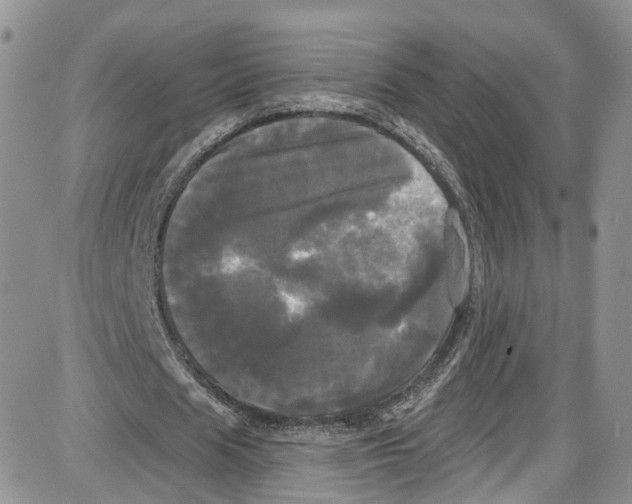 X0000087630625200705311329