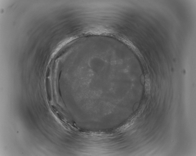 X0000087630626200705311329