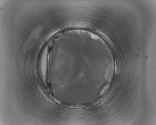 X0000087630627200705311329