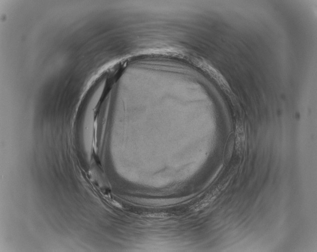 X0000087630628200705311329