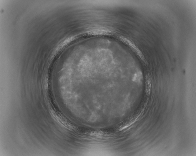 X0000087630631200705311329