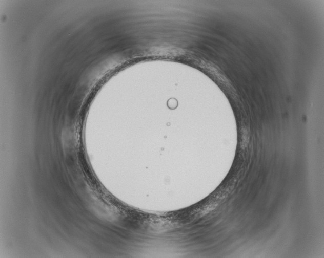 X0000087630632200705311329