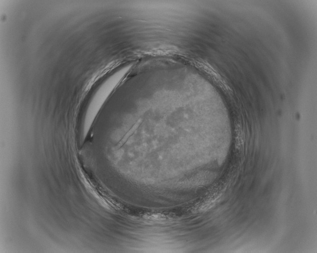 X0000087630634200705311329