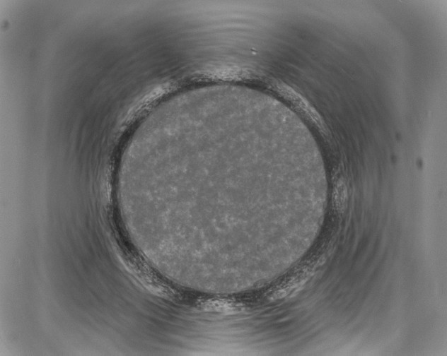 X0000087630635200705311329