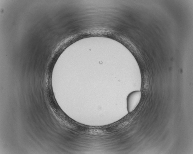 X0000087630636200705311329