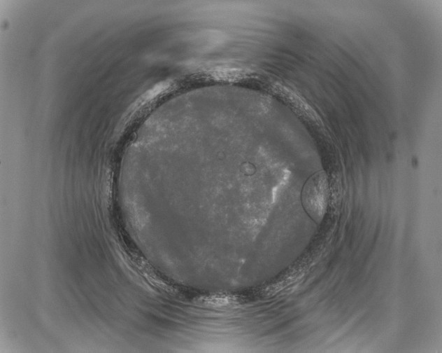 X0000087630639200705311329